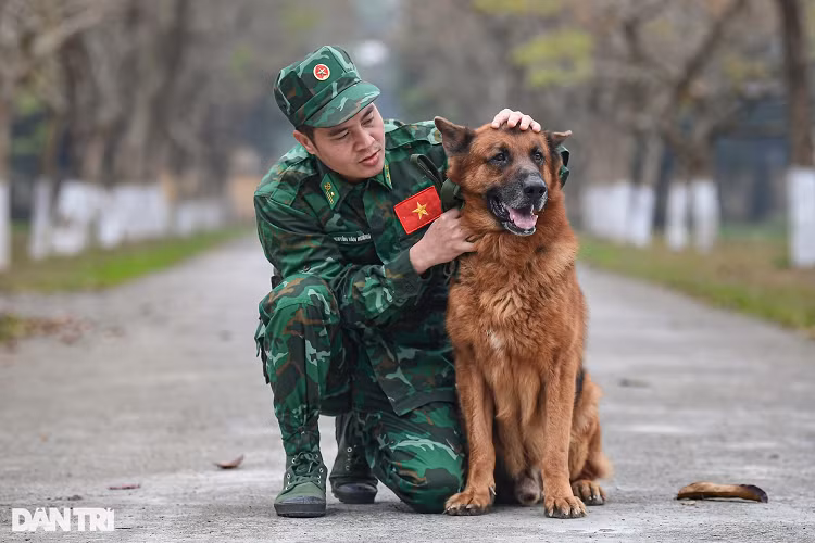 Mỗi học viên khi vào Trường Trung cấp 24 Biên phòng học tập, đào tạo thành huấn luyện viên sẽ được giao một chó nghiệp vụ. Chú chó nghiệp vụ này sẽ theo huấn luyện viên từ khi đào tạo, huấn luyện trong trường, khi ra trường chú chó này sẽ theo huấn luyện viên về đơn vị ở các tỉnh để làm nhiệm vụ.