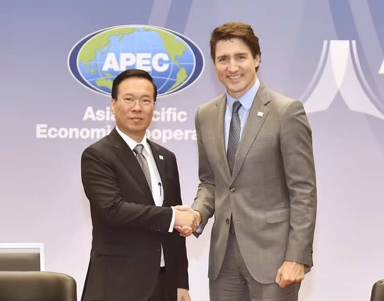 Chu tich nuoc Vo Van Thuong gap Quoc vuong Brunei, Thu tuong Canada-Hinh-2