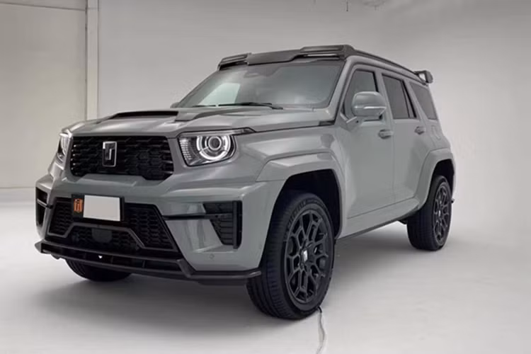 Nó được ra mắt vào năm 2021 và hiện tại dòng xe của thương hiệu bao gồm ba loại xe: Tank 300, Tank 400 Hi4-T và Tank 500. Tank muốn ra mắt thêm hai mẫu xe nữa vào năm tới là SUV 700 và 800. Phiên bản máy xăng của Tank 700 đã xin giấy phép bán hàng vào tháng 1 năm nay. Nhưng nó đã không được đưa vào sản xuất hàng loạt.