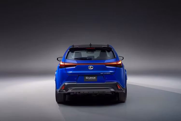 Xe sẽ được bán ra thị trường vào một thời điểm chưa được xác định cụ thể, chỉ biết là sẽ diễn ra trong năm 2024. Giá xe Lexus UX 2025 cũng sẽ được công bố ngay tại lúc bán ra chính thức.
