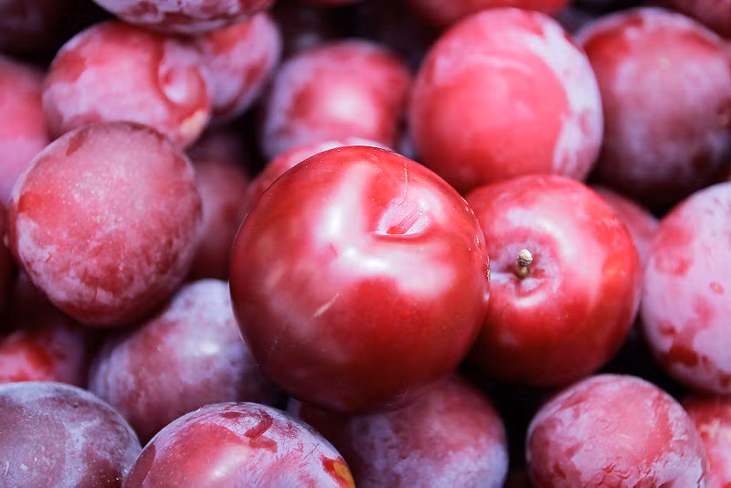 Quả cherry và mận. Các bà mẹ đang cho con bú nếu ăn quả cherry hoặc các loại quả chín mọng như mận tây, dây tây, dâu tằm có thể khiến trẻ bị đầy hơi, khó tiêu. Mặc dù đối với trẻ sơ sinh, việc đầy hơi cũng cũng xảy ra thường xuyên do hệ tiêu hóa của bé đang phát triển, tuy nhiên, nếu gặp trường hợp này sau khi ăn các loại hoa quả kể trên, mẹ nên dừng ngay lập tức.