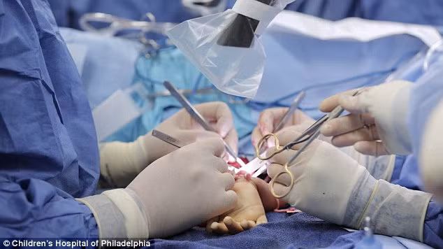 Đội ngũ gồm 40 y bác sĩ đã tham gia ca phẫu thuật quan trọng kéo dài 11 giờ liên tục này. Trong ca phẫu thuật, các bác sĩ đã tiến hành gắn xương tay cũ và mới, sau đó kết nối lại tĩnh mạch, cơ bắp, gân và các dây thần kinh.