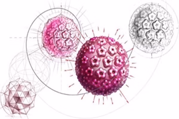 Gen của bạn có chứa virus cổ xưa. 8% gen của chúng ta được tạo thành từ Virus thuộc nhóm Retrovirus, chúng có thể chèn bản sao nguyên liệu di truyền của chúng vào ADN sau khi nhiễm vào trứng hoặc tinh trùng người cách đây hàng triệu năm và dán vào genome nguyên thủy một số lượng lớn bản sao di truyền của chúng. Hầu hết chúng đã bị biến đổi trong cơ thể bạn nhưng cũng có một số có thể hình thành cuộc sống mới, như trong bệnh nhân ung thư hoặc HIV.