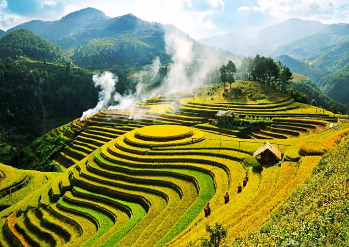 Cảnh sắc tuyệt đẹp này chỉ có vào những ngày thu tháng 9, khi những thửa ruộng chín vàng rực rỡ. Những bước chân lạc đến đây dường như quên lối về vì khung cảnh đẹp như một bức tranh hoàn mĩ. Bạn có thể tìm được những cánh đồng lúa đẹp mê mải này ở vùng Tây Bắc: Tú Lệ, Mù Cang Chải, Y Tý, hay Tả Van. Ảnh: Dulich24