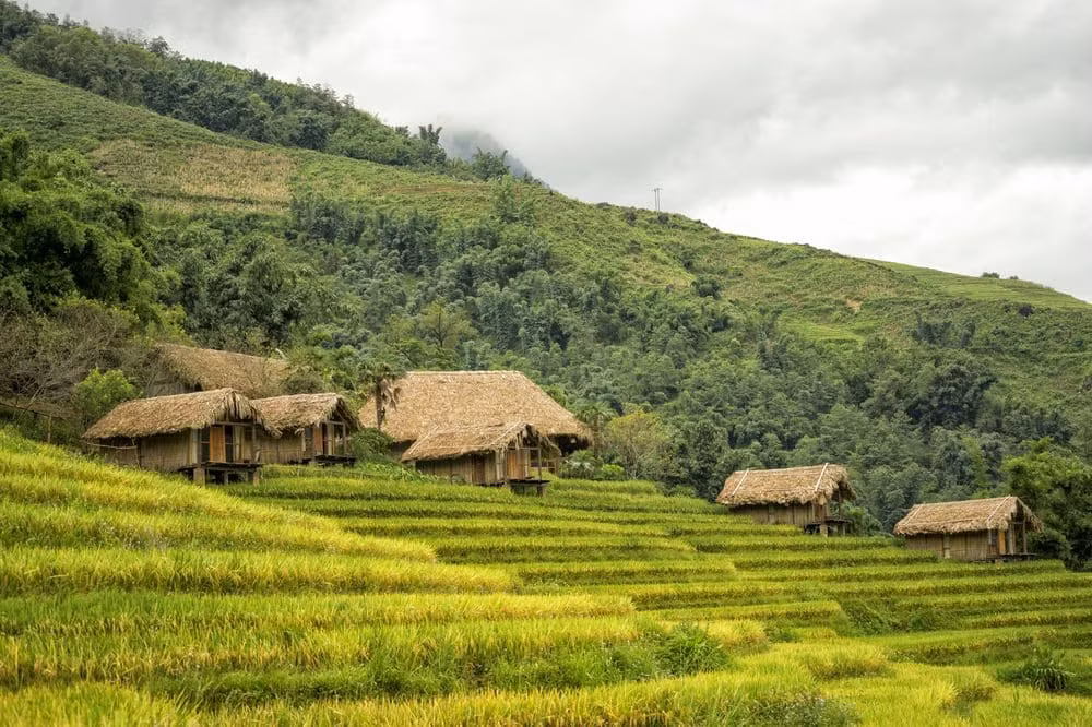 Được mệnh danh là homestay "mỗi m2 chụp trăm ảnh đẹp" ở Lao Chải, SaPa, Eco Palm House gồm nhiều Bungalow đặt giữa những thửa ruộng bậc thang đang là điểm đến "hot" dạo gần đây. Ảnh: TripAdvisor