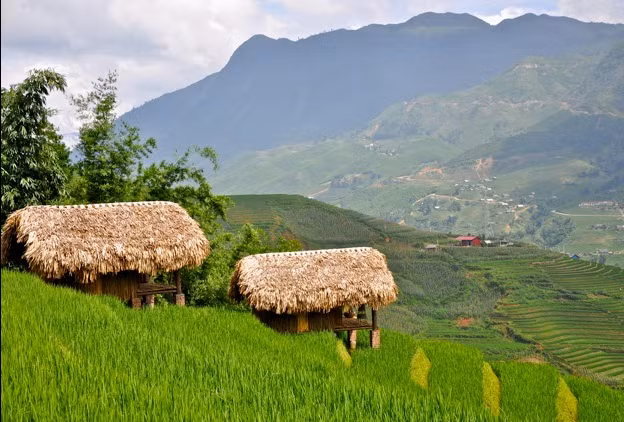 Hmong moutain Sapa cũng đang là nơi trú chân được nhiều "vote" của giới trẻ. Đây là nơi dành cho những ai muốn trốn thị thành ồn ào, ngột ngạt để vui với thiên nhiên. Ảnh: Tripadvisor
