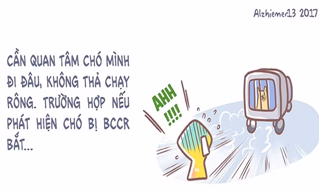 Nếu không muốn "lên phường" giải cứu chó cưng, thì điều quan trọng là quản lý chúng thật tốt.
