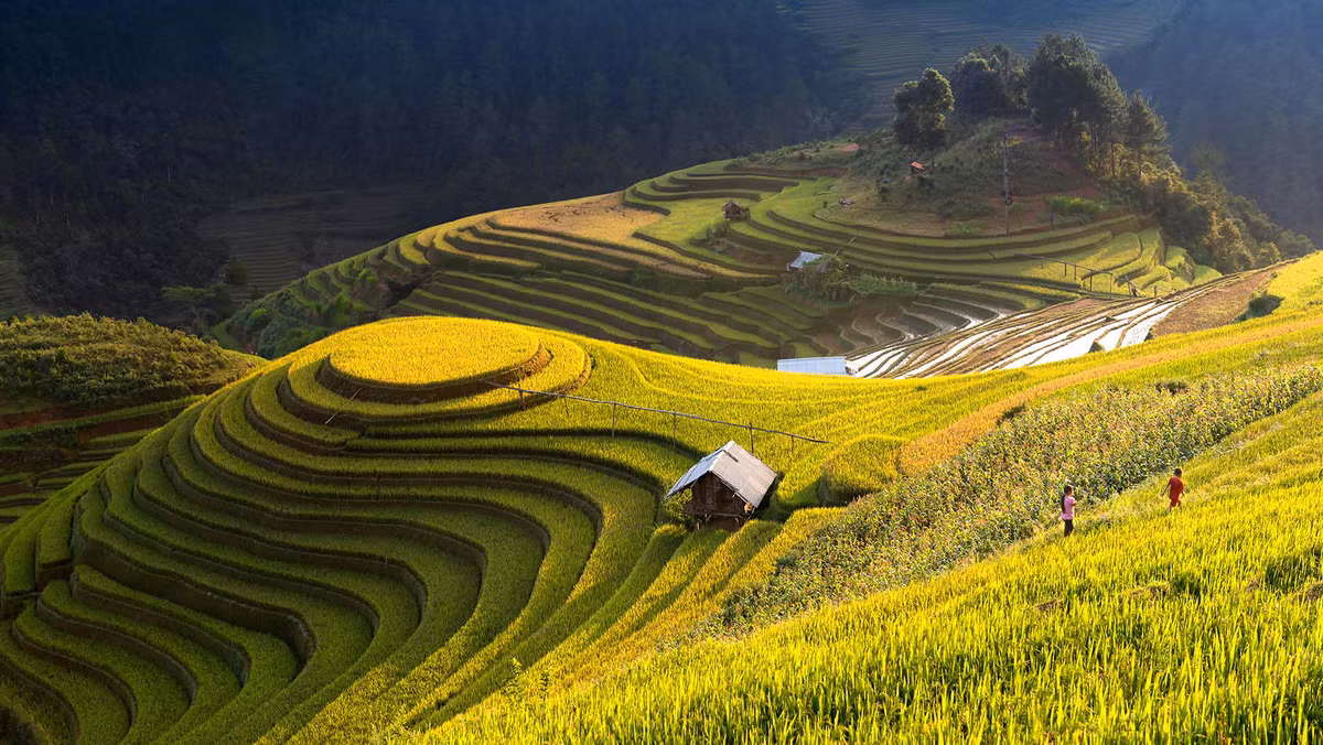Trong đó, La Pán Tấn là nơi có nhiều ruộng bậc thang nhất ở Mù Cang Chải, với diện tích rộng hơn 700 ha ruộng bậc thang xếp tầng tầng lớp lớp, tạo nên một bức tranh nên thơ của đất trời. Ảnh: Dichoi.com