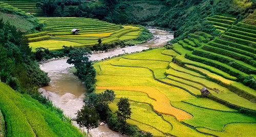 Vào mùa lúa tháng 9, Tả Van, Cát Cát (Sa Pa) cũng là địa điểm lý tưởng để dân phượt "gặt lúa". Cảnh sắc nơi đây với con suối nhỏ chảy dưới chân núi, ruộng bậc thang nối tiếp hứa hẹn cho những bức hình không thể "chất" hơn. Ảnh: DLVN.