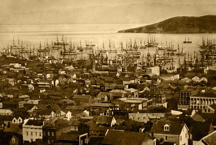 Con sot vang bien San Francisco thanh do thi sam uat the nao?-Hinh-5