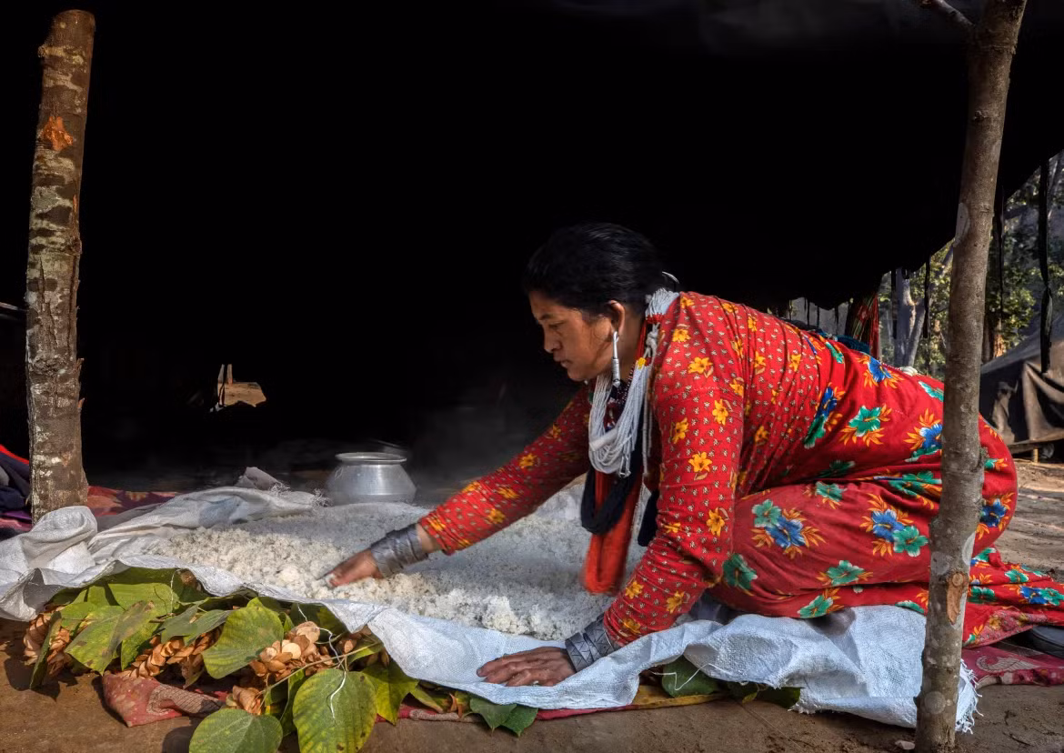 Nabina Sahi, 35 tuổi, phơi khô cơm đã nấu chín để làm một loại đồ uống được gọi là "jaad".
