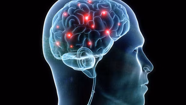 Khi phải hoạt động một cách tích cực quá mức, những tế bào Astrocytes sẽ gây ra tổn thương cho não bộ bằng cách phá vỡ nhiều liên kết trong não. (Nguồn Viralnova)