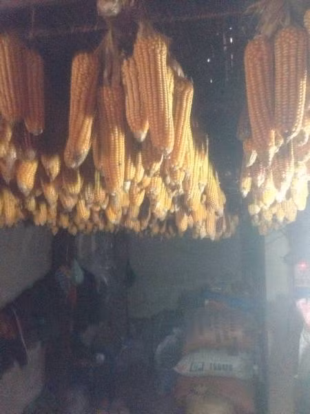Tây Bắc đẹp mê hồn trong những ngày chớm đông - Hình 15 Tay Bác dep me hon trong nhũng ngay chom dong-Hinh-15