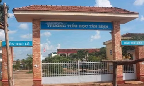 Dua con den truong, 