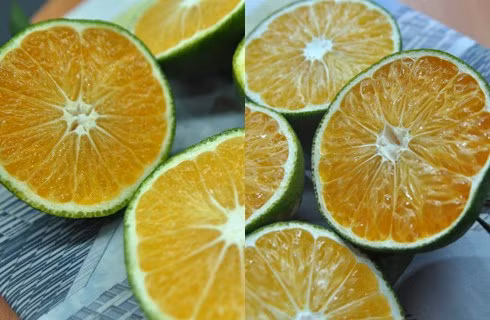 Cam sành Trung Quốc trái to, quả có màu đậm, vỏ mỏng, bề mặt vỏ mịn màng, phần cuống hơi nhọn và phần đít quả hơi bầu; đôi khi có kèm theo cả cành lá. Không hạt. Canh sành Việt Nam có vỏ dày, căng, xù xì hơn. Ruột cam vàng nhạt hơn.