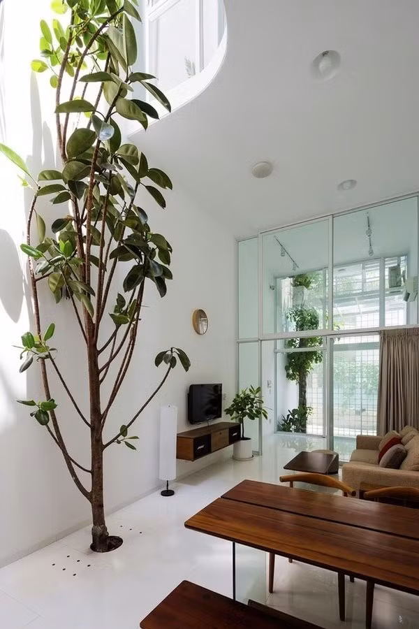 Thiết kế khoảng thông tầng vô cùng đặc biệt với những đường cong mềm mại và nghệ thuật. Cây xanh là một phần không thể thiếu mang đến một tổ ấm đầy sắc màu và sức sống mới, quên đi cái nắng nóng oi ả của mùa hè.
