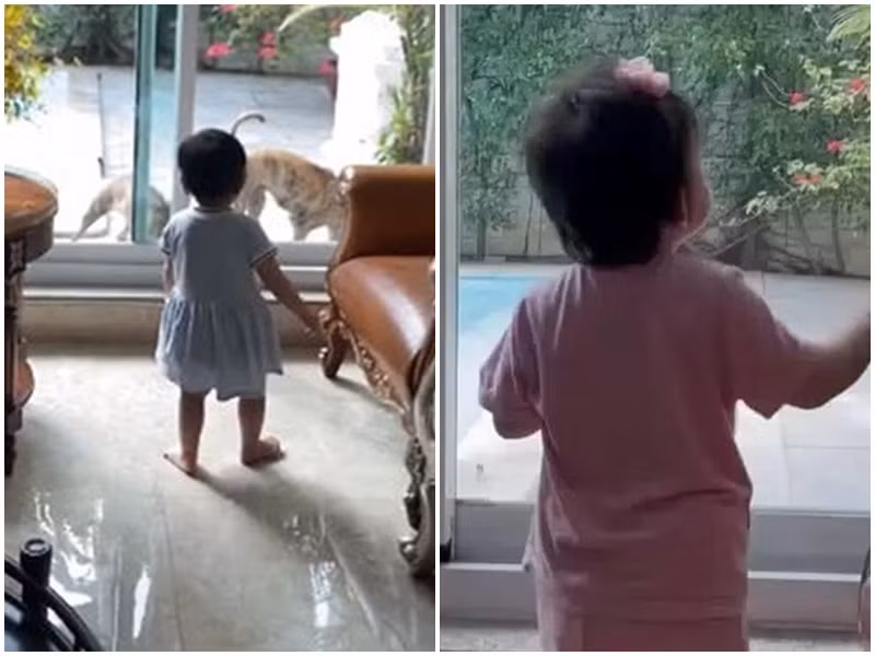 Vợ chồng Quách Ngọc Ngoan vẫn giấu kín hình ảnh cô con gái chung. Theo nam diễn viên tiết lộ, con gái có gương mặt rất điện ảnh, được hai chị cùng mẹ khác cha cưng chiều. Ngoài ra, bé Thanh Nhã ngoan và ít quấy khóc. Cô nhóc đặc biệt thích nghe bố hát ru trước khi đi ngủ.