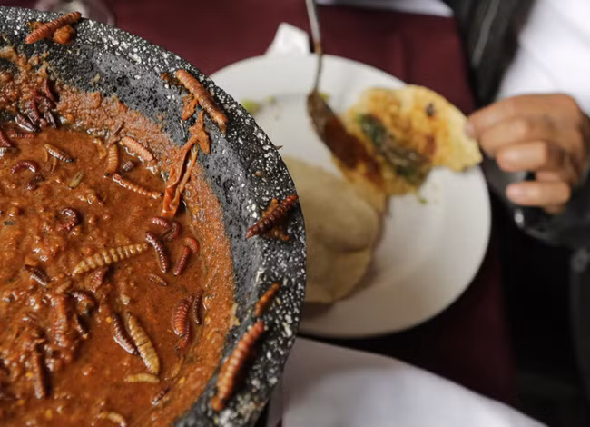 Tiết canh Việt Nam lọt top món ăn kinh dị nhất thế giới Tiet canh Viet Nam lot top mon an kinh di nhat the gioi