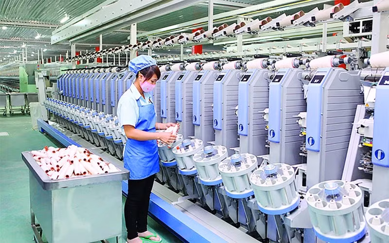 TCM ước đạt 1,3 triệu USD lợi nhuận trong tháng 7 TCM uoc dat 1,3 trieu USD loi nhuan trong thang 7