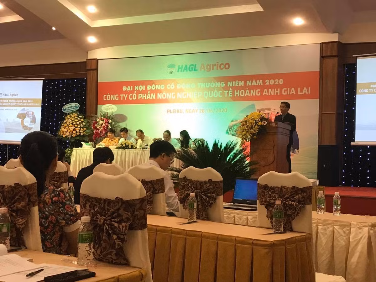 ĐHĐCĐ HNG: Đầu tư thêm vào dứa, khai thác cao su nhiều có thể lỗ DHDCD HNG: Dau tu them vao dua, khai thac cao su nhieu co the lo