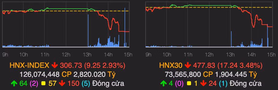 Nganh ban le tru sac xanh khi VN-Index lien tiep do day giam 27 diem-Hinh-2