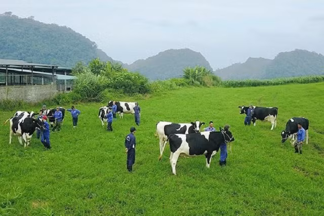 Lam Nghiep Sai Gon thoai von tai GTNFoods, thu ve 28 ty dong