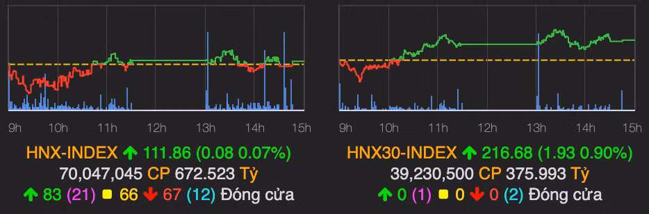 Bo ba 'ho Vin' bi chot loi manh, VN-Index quay dau giam diem-Hinh-2