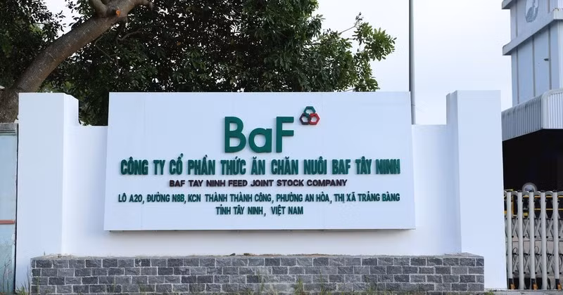 BaF Viet Nam sap thau tom doanh nghiep chan nuoi lon o Gia Lai