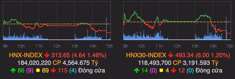 Luc ban ap dao khien VN-Index mat gan 11 diem-Hinh-2