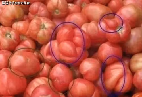 5. Cà chua. Cà chua có thể thu hoạch quanh năm nhưng cà chua trong nhà lưới không thể thụ phấn bình thường, cần can thiệp thủ công. Nông dân sẽ rắc chất điều hòa sinh trưởng lên nhụy hoa. Đây là lý do những quả cà chua thường có hình dáng kỳ lạ.
