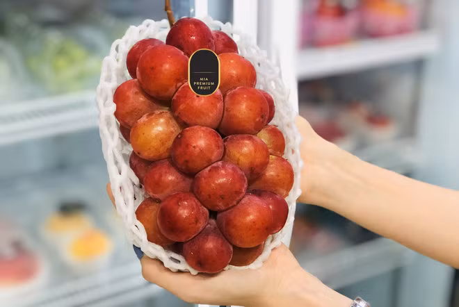 Nho Queen Nina có đặc tính trái to tròn bóng, vỏ màu đỏ hồng tím, mỗi trái có trọng lượng từ 20g. Nho Queen Nina mang hương vị xen lẫn nho Shine Muscat và nho Pione, vị ngọt thơm mùi sữa pha lẫn vị rượu nhẹ. “Cả 2 loại nho Pione và Queen Nina đều được khách hàng yêu thích, đặc biệt là nam giới vì chúng có hương vị rượu nhẹ", đại diện một đơn vị kinh doanh hoa quả nhập khẩu cho biết.