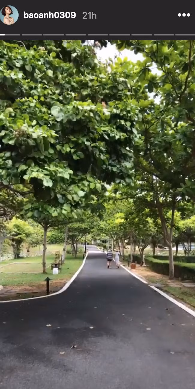Bảo Anh cũng chia sẻ bức hình trên con đường đó.