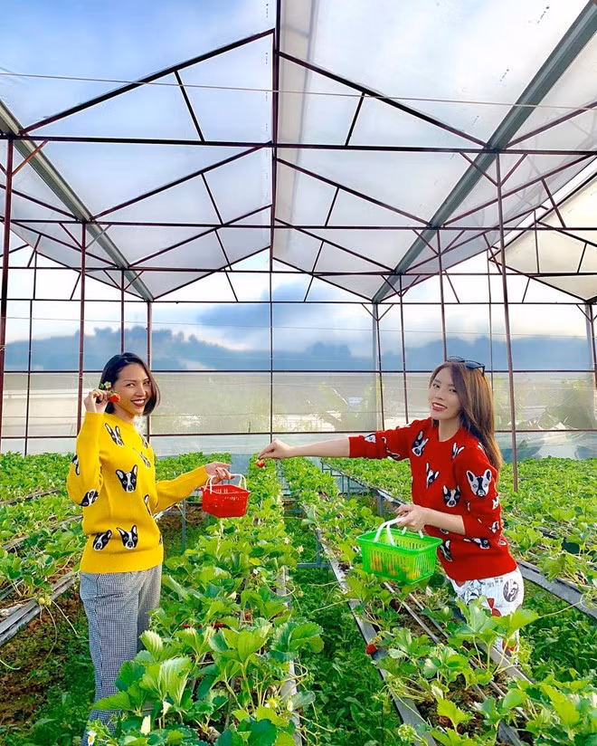 Hai chân dài thường xuyên đi du lịch cùng nhau.