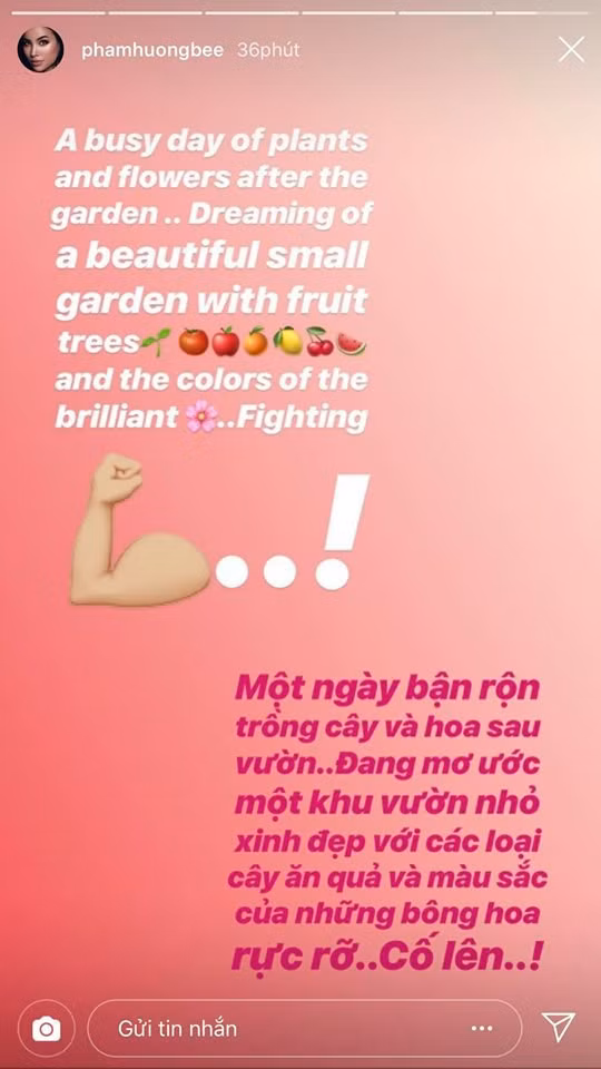 Sự việc Phạm Hương mắc nhiều lỗi sai tiếng Anh căn bản khiến người đẹp gốc Hải Phòng bị nhiều người mỉa mai là sống ở Mỹ gần 2 năm rồi mà vẫn phải dùng tiếng Anh kiểu Google dịch.