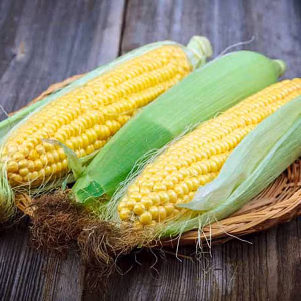 Ngoài cung cấp dưỡng chất dồi dào, ngô còn dễ chế biến thành nhiều món ngon như súp, snack, đồ uống giải nhiệt. Trong số đó, ngô luộc được đánh giá cao nhờ dễ chế biến mà vẫn giữ được vị nguyên bản.