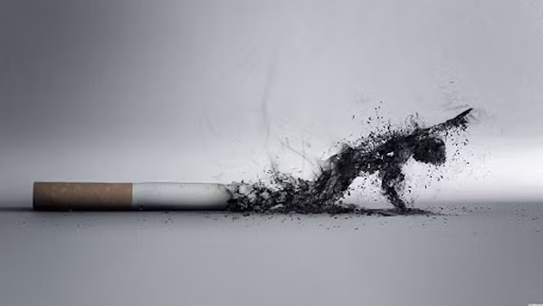 Hút thuốc, uống rượu. Hút thuốc rất có hại cho sức khỏe. Khi hút, các chất độc hại trong thuốc lá có thể gây hại cho nhiều cơ quan của cơ thể, bao gồm cả thận.