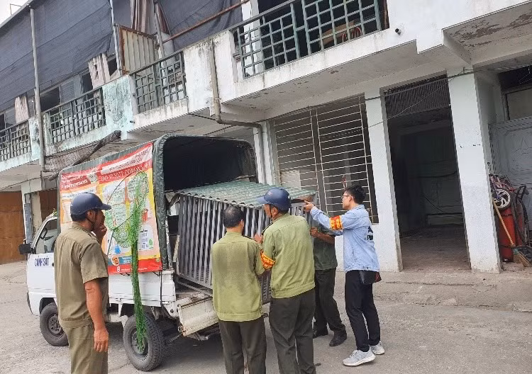 TPHCM lap doi bat cho tha rong... soi lai doi thi diem o Ha Noi