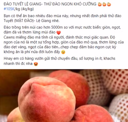 Vài năm gần đây, nhiều loại đào Trung Quốc đổ bộ thị trường Việt. Dịp này, đào tuyết Lệ Giang đang gây sốt “chợ mạng”.