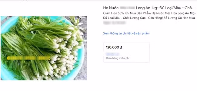 Ngày nay, rau hẹ nước trở thành đặc sản có mặt trong nhiều quán ăn ở các tỉnh thành. Hẹ nước tươi có giá dao động từ 120.000 - 150.000 đồng/kg, thậm chí có nơi rao bán đến 270.000 đồng/kg. Ảnh chụp màn hình