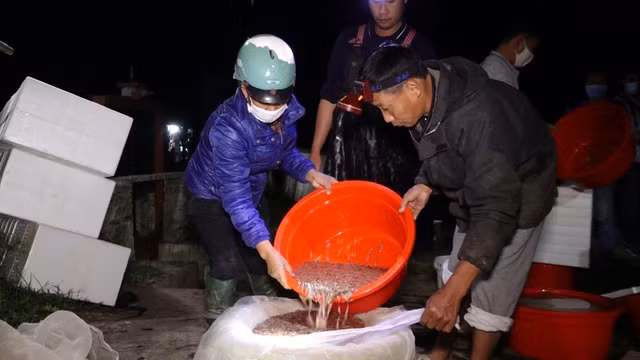 Can canh nguoi dan chong den 