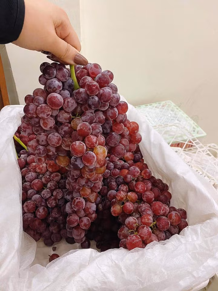 Theo các tiểu thương, đây là loại nho rừng nội địa Trung, quả nhỏ nhưng ăn giòn, ngọt lịm.