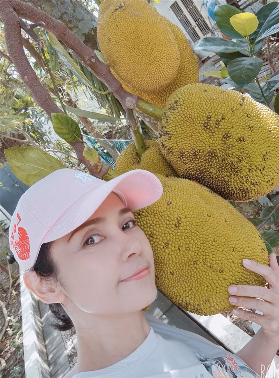 Trong khu vườn rộng lớn, Việt Trinh trồng đủ các loại cây ăn trái.