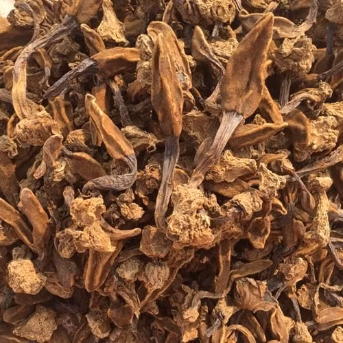 Trong khi đó, nấm ngọc cẩu khô có giá 350.000 đồng/kg. Ảnh Facebook