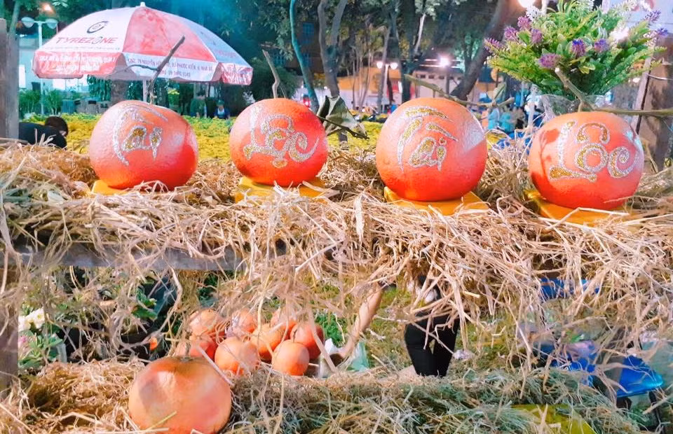 Vài năm gần đây, bưởi đỏ Luận Văn được bán với giá rất cao. Thậm chí, nhiều nghệ nhân còn trang trí, viết chữ thư pháp lên trái bưởi trở thành quà chưng Tết sang trọng được giới nhà giàu săn lùng. Ảnh: Traicaydungmap