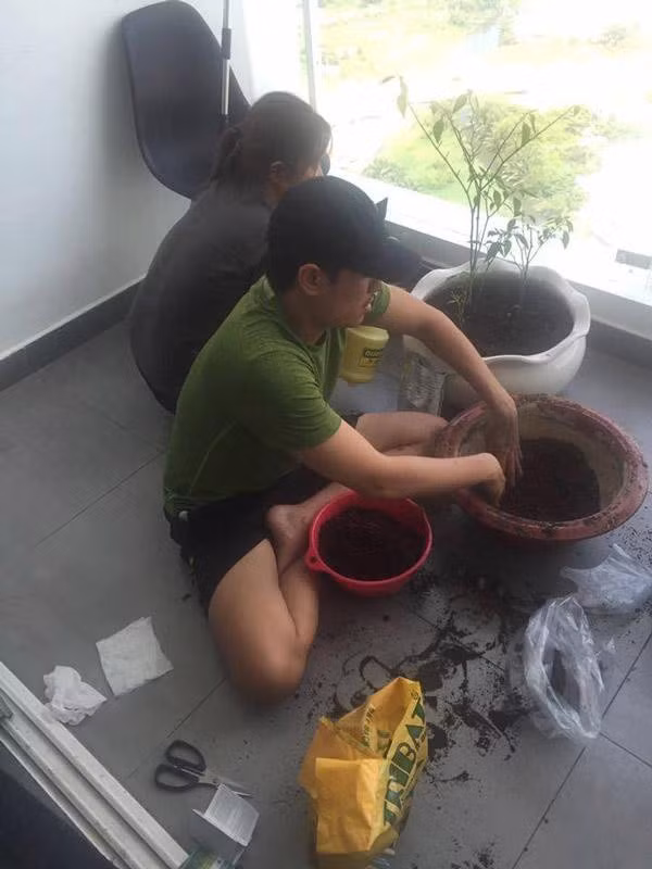  Kiều Minh Tuấn tận dụng ban công để trồng cây. Ảnh: FBNV