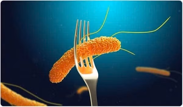 80 sinh vien o Lao Cai ngo doc, “thu pham“ la vi khuan Salmonella
