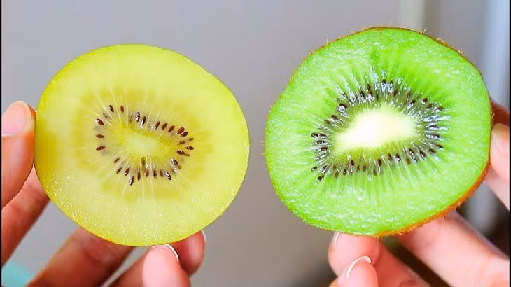  Ngăn ngừa nhiễm khuẩn và nhiễm nấm: Cả 2 loại kiwi xanh và kiwi vàng đều cho thấy khả năng kháng khuẩn và kháng nấm. Đặc biệt, tác dụng này nhiều nhất ở hạt của kiwi. Chiết xuất từ quả Kiwi đã cho thấy hoạt tính kháng khuẩn chống lại một số chủng vi khuẩn. Kiwi vàng chứa một loại protein gọi là actinchinin, được cho là nguồn gốc của khả năng kháng nấm của chúng. Ảnh minh họa