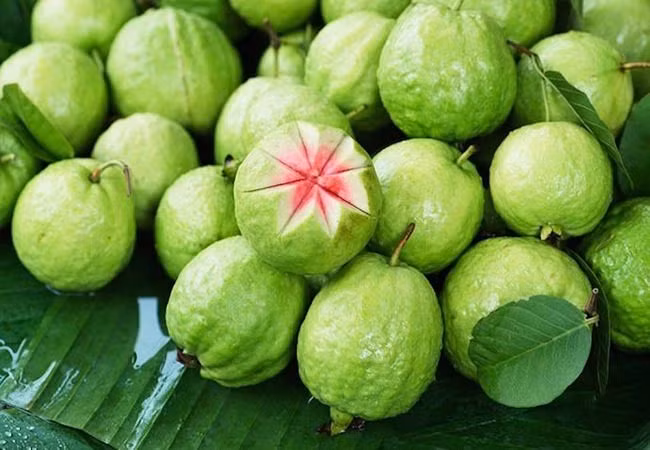 Ổi giòn, ngon, chứa lượng vitamin C phong phú giúp nâng cao sức đề kháng, giảm viêm phổi. Ổi còn có công dụng giảm cân, chỉ số đường huyết thấp hỗ trợ kiểm soát bệnh tiểu đường. Ảnh Internet