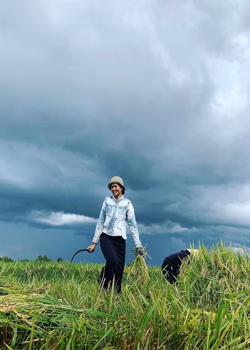 H'hen Niê thành thạo nhiều công việc như hái điều, hái cà phê, hái tiêu, phơi cà phê, rang cà phê, gặt lúa, tưới cây quanh vườn, cho heo ăn, dựng hàng rào trồng cây leo, cày đất để trồng các loại rau.