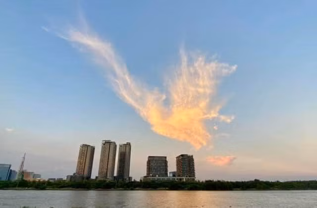 Đám mây vốn dĩ bình thường bỗng dưng xếp thành hình dáng giống như một con phượng hoàng khổng lồ với đôi cánh đang dang rộng.
